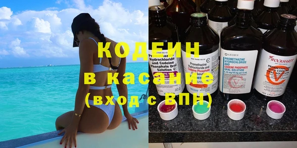 прущие грибы Алзамай