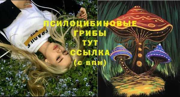 прущие грибы Алзамай