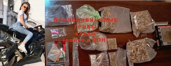 прущие грибы Алзамай