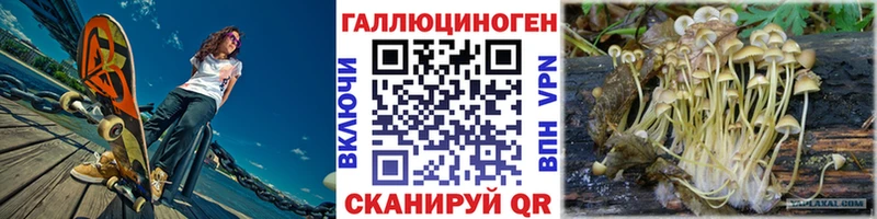 Галлюциногенные грибы Cubensis  Мензелинск 